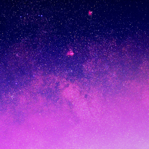 M16,17,25とバンビの横顔