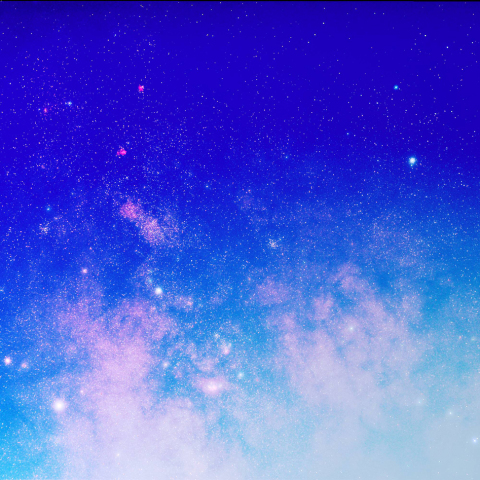 バンビの横顔の周辺