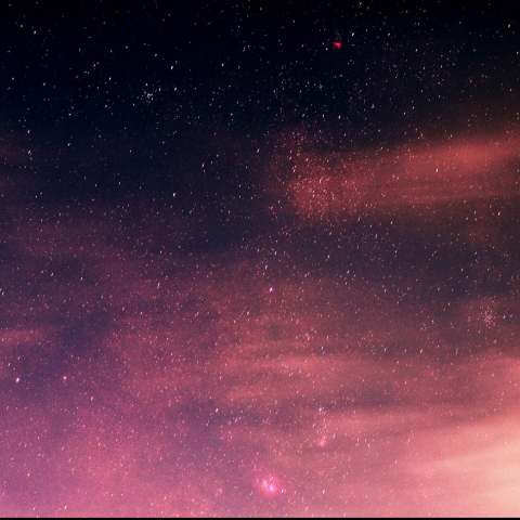 M8,20,9とかすかなバンビの横顔