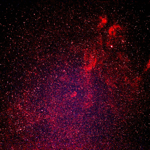 白鳥座サドル周辺