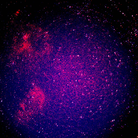 ハート、ソウル星雲