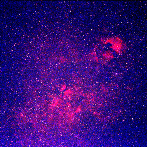 北アメリカからサドル