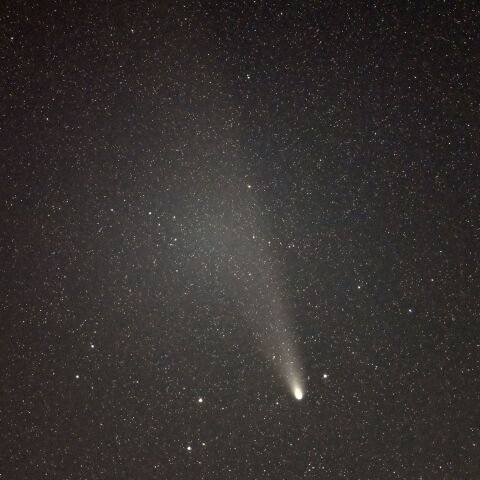 11月3日の紫金山・アトラス彗星