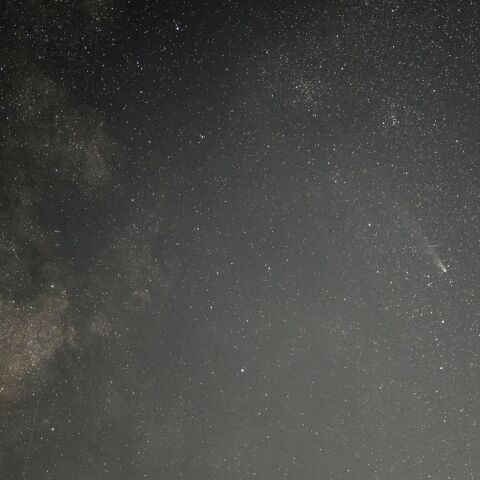 11月3日の紫金山・アトラス彗星