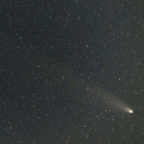 11月4日の紫金山・アトラス彗星