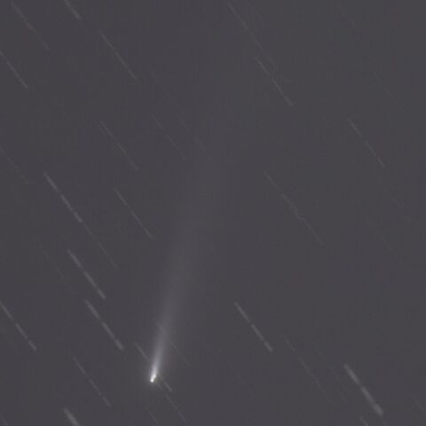 C/2025 K1(2025.11.21)