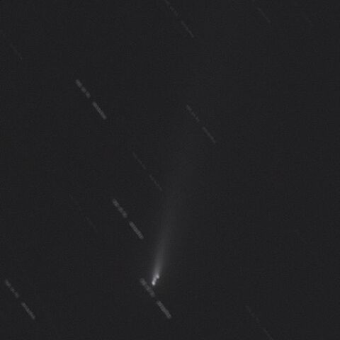 C/2025 K1(2025.11.21の2)