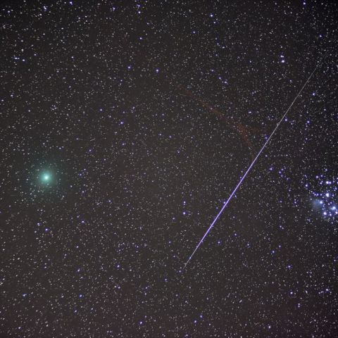 ウィルタネン彗星と流星