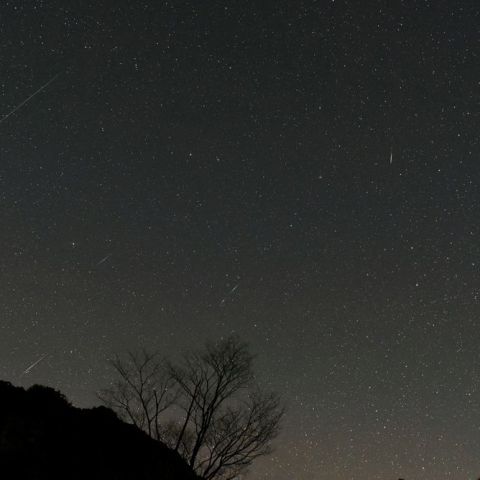 しぶんぎ座流星群