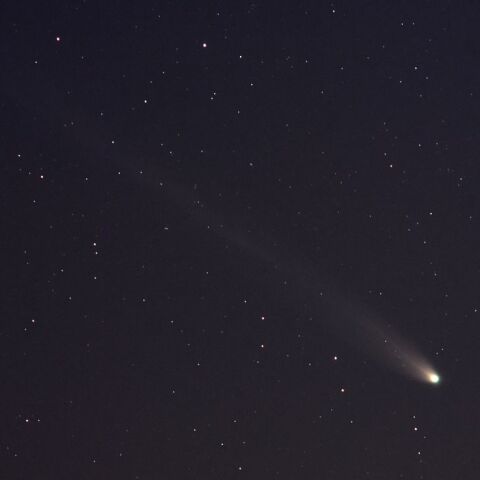 レナード彗星（12/28）