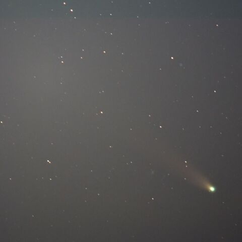 レナード彗星（12/30）