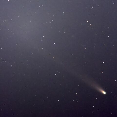 レナード彗星（1/1）