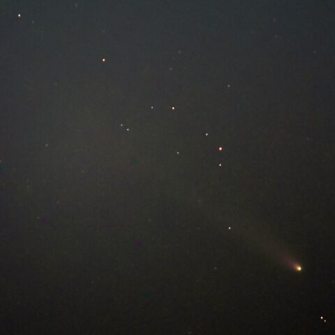 レナード彗星（１月３日）