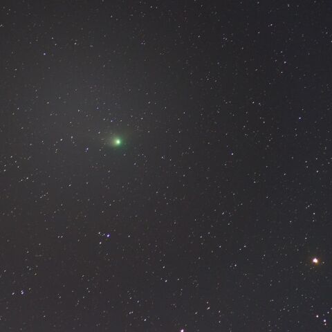 ZTF彗星とこぐま座β星Kochab