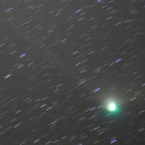 1月31日未明のZTF彗星