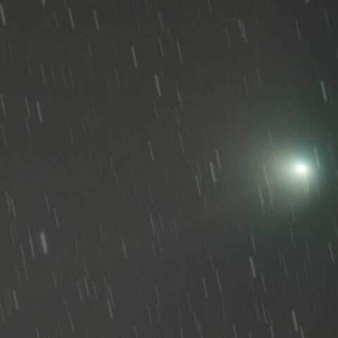 2月1日未明のZTF彗星