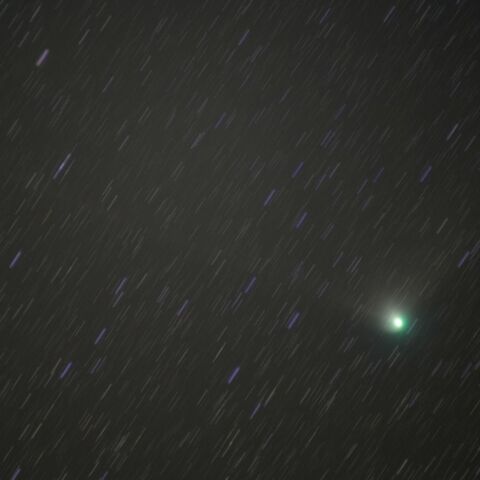 2月1日未明のZTF彗星