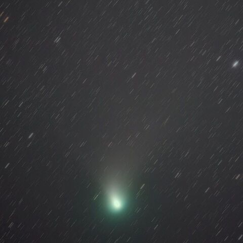 2月８日のZTF彗星