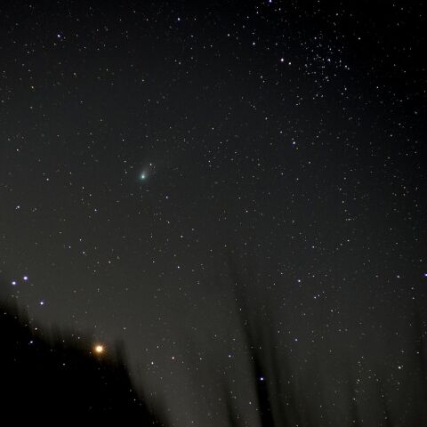 2月14日のZTF彗星