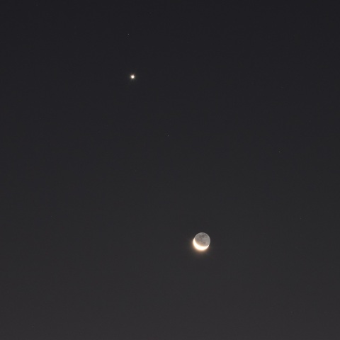 明け方の月と金星 (2023/12/10)