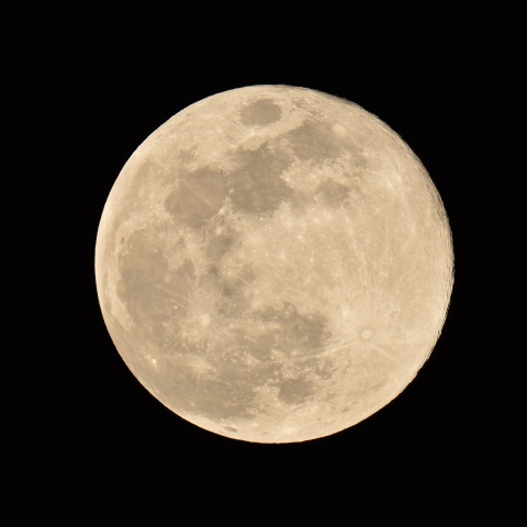 本年最後の満月 (2023/12/27)