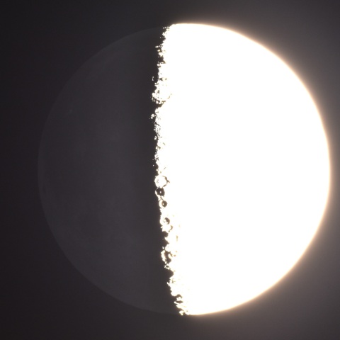 潜入前のおうし座χ星と月(2024/02/17)