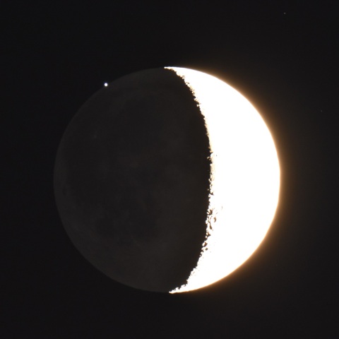 スピカ食・潜入前 (2024/08/10)