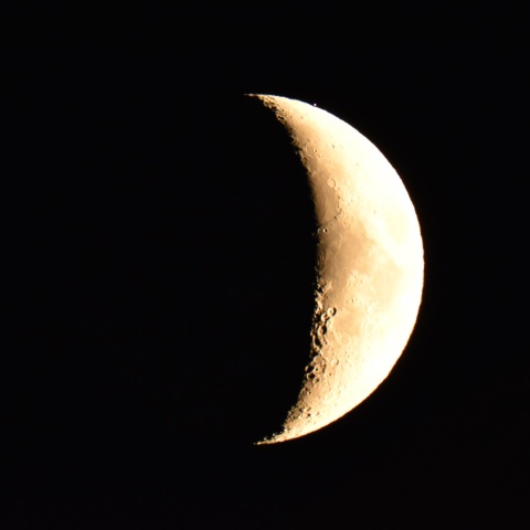 スピカ食・出現後 (2024/08/10)