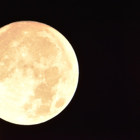 中秋の名月と土星 (2024/09/17)