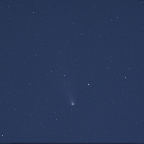 C/2023A3 (2024/11/03)