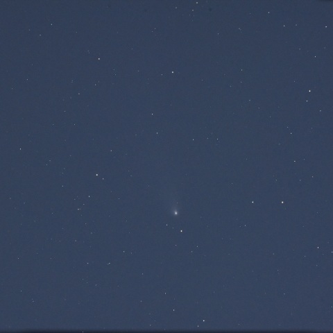 C/2023A3 (2024/11/11)