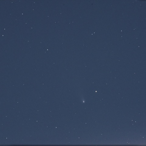 C/2023A3 (2024/11/18)