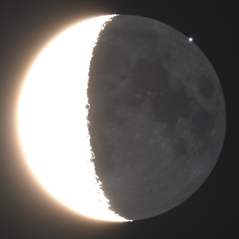 スピカ食 (2024/12/25)