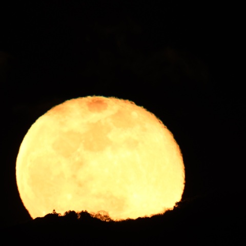 生駒山からの月出 (2025/01/15)