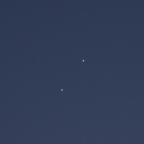 火星とレグルス (2025/06/17)