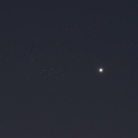 金星・M44 (2025/09/01)