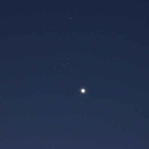 金星・M44 (2025/09/02)