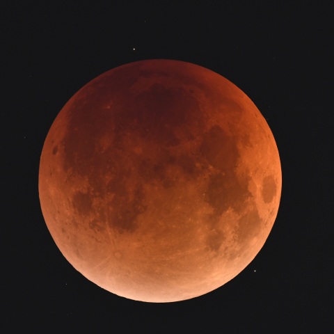 皆既中の月と81Aqr・82Aqr (2025/09/08)