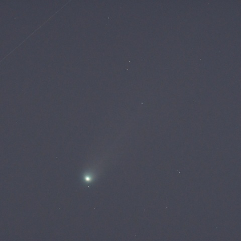 レモン彗星 (2025/10/24)