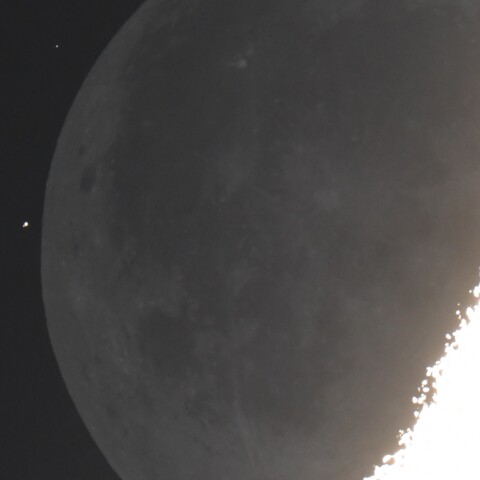 248B.Sgrの星食 (2025/10/28)