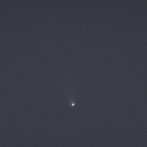 レモン彗星 (2025/11/10)