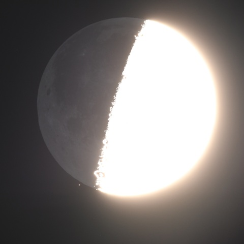 月とδPscの接近 (2025/12/28)