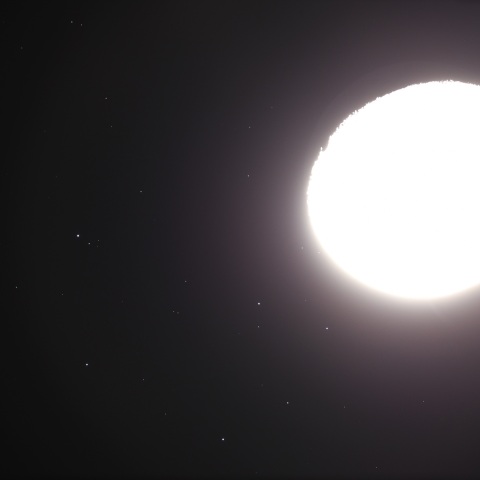 プレアデス食 (2025/12/31)