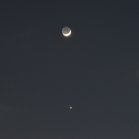 月と金星 (2026/05/19)