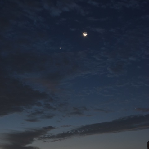 月と金星