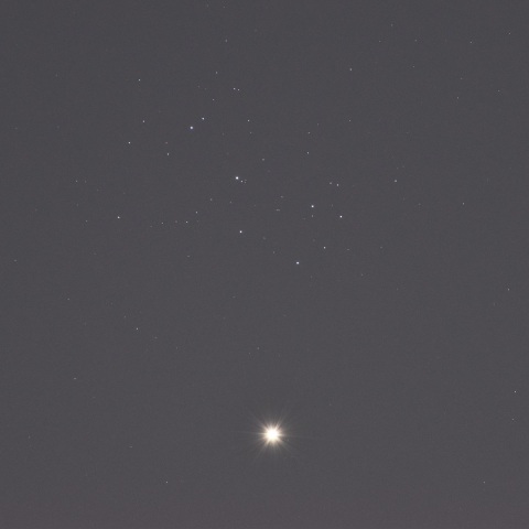 金星とプレアデス星団の接近 (2020/4/2)