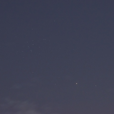 夕空の火星とM44 (2021/6/21)