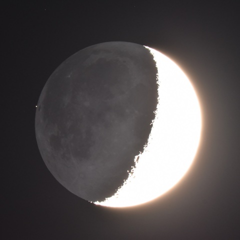 うお座μ星の潜入 (2022/2/6)