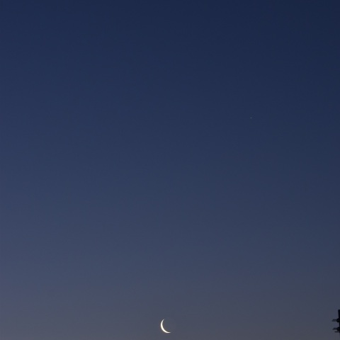 明け方の月・金星・火星 (2022/02/28)