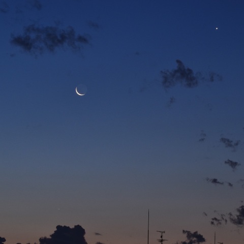 明け方の月・金星・水星 (2022/06/27)